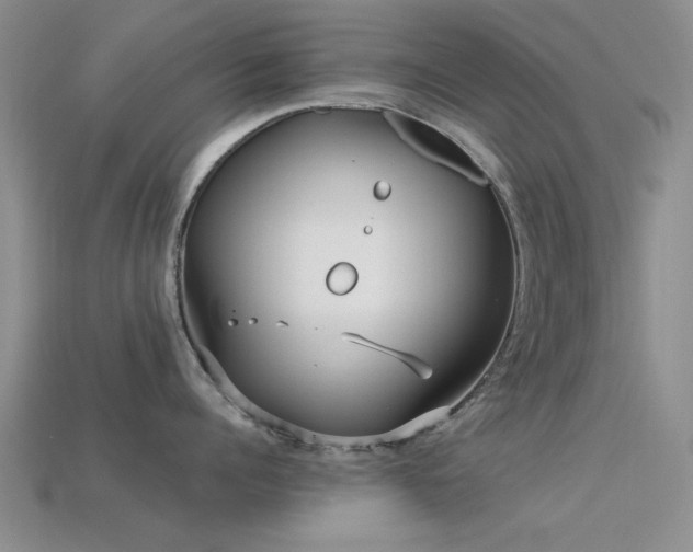 X0000113610960200909181416