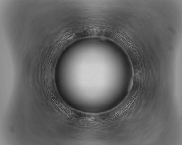 X0000113610961200909181416