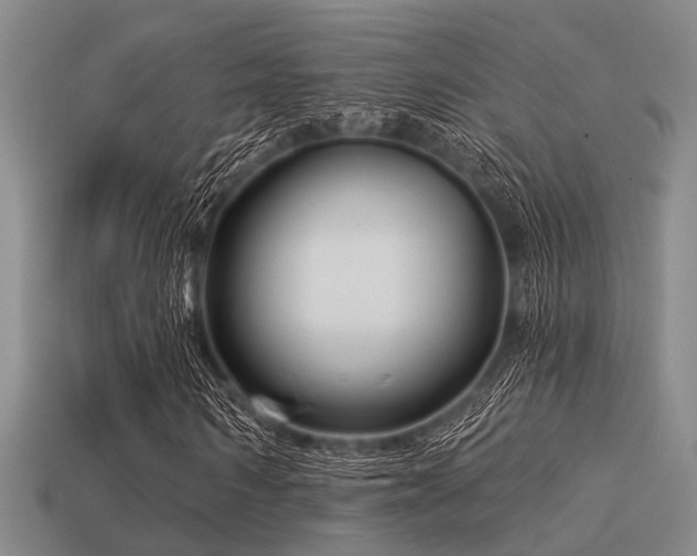 X0000113610962200909181416