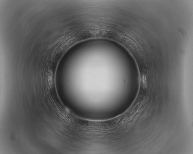 X0000113610963200909181416