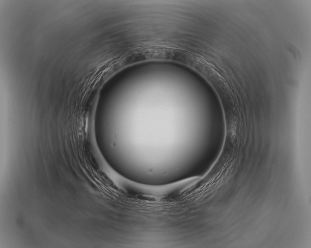 X0000113610964200909181416