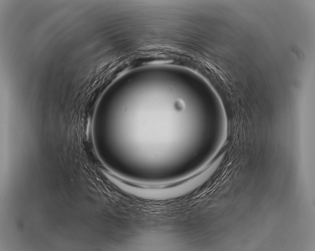 X0000113610965200909181416