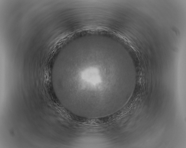 X0000113610966200909181416