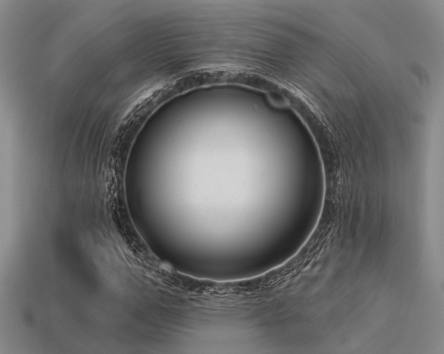 X0000113610967200909181416