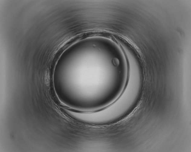 X0000113610969200909181416