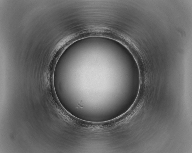 X0000113610970200909181416