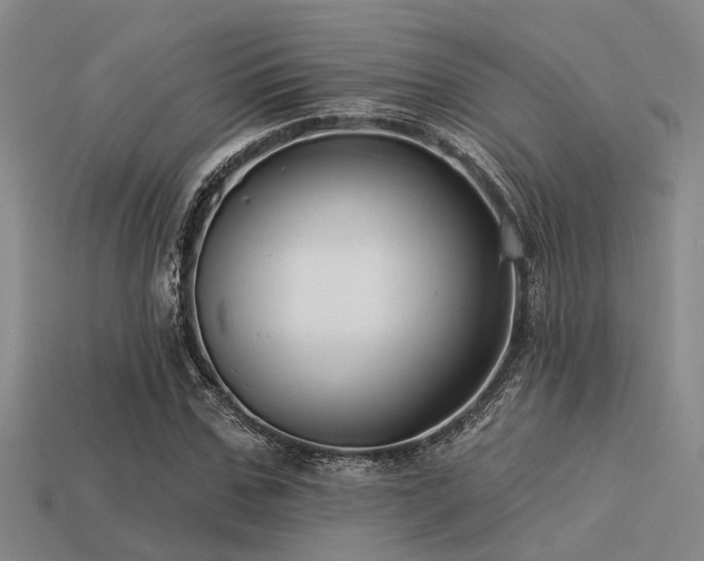 X0000113610971200909181416