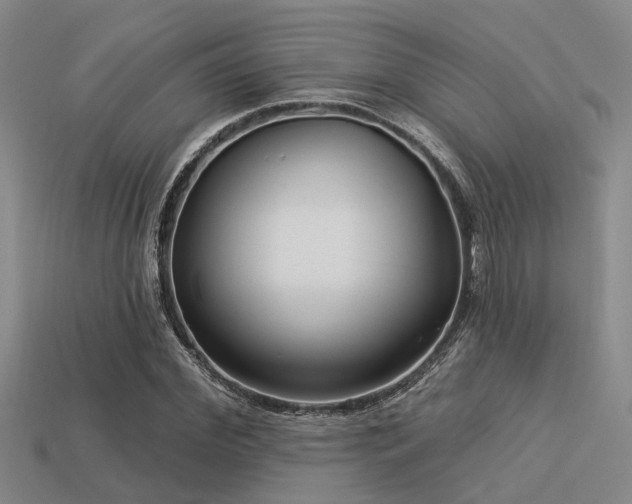 X0000113610972200909181416