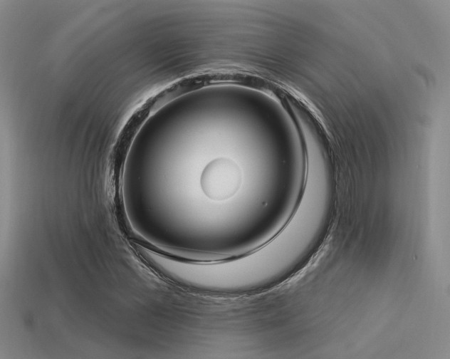 X0000113610973200909181416