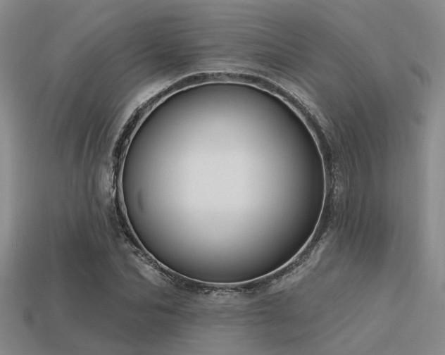 X0000113610974200909181416