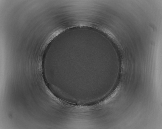 X0000113610977200909181416