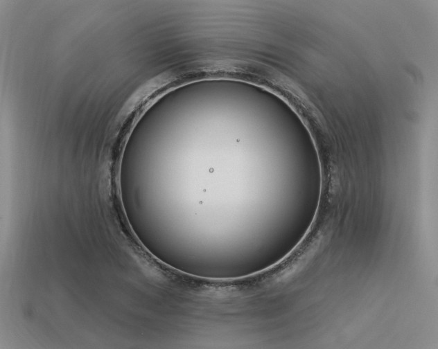 X0000113610978200909181416