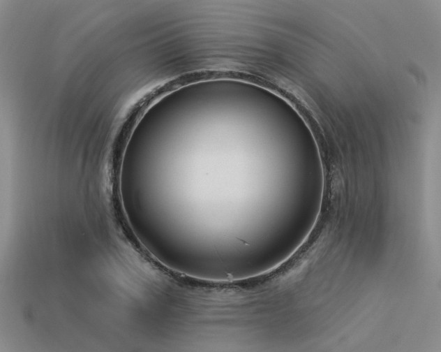 X0000113610979200909181415