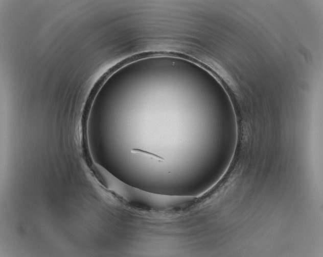 X0000113610980200909181415