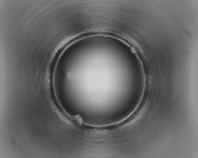 X0000113610981200909181415