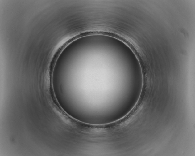 X0000113610982200909181415