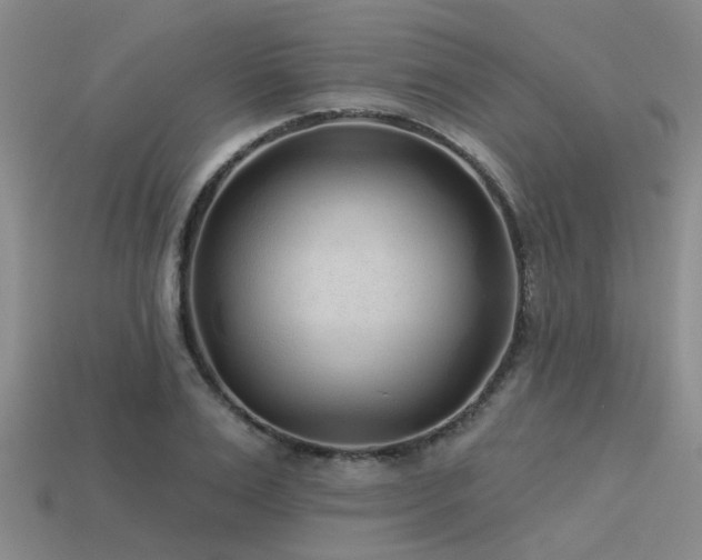 X0000113610983200909181415