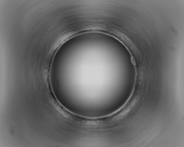 X0000113610985200909181415