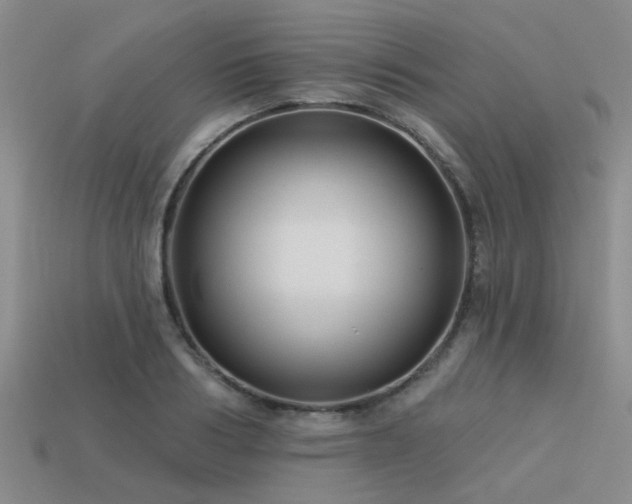 X0000113610986200909181415