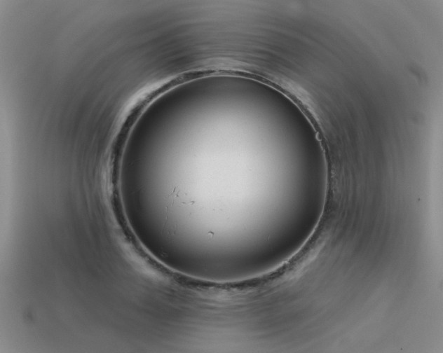 X0000113610987200909181415