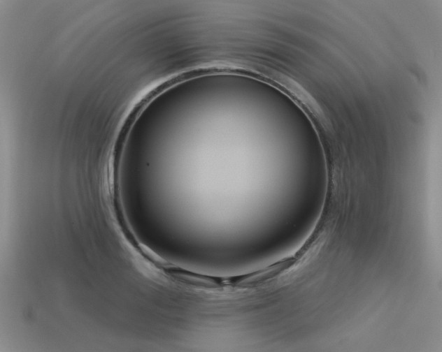 X0000113610988200909181415