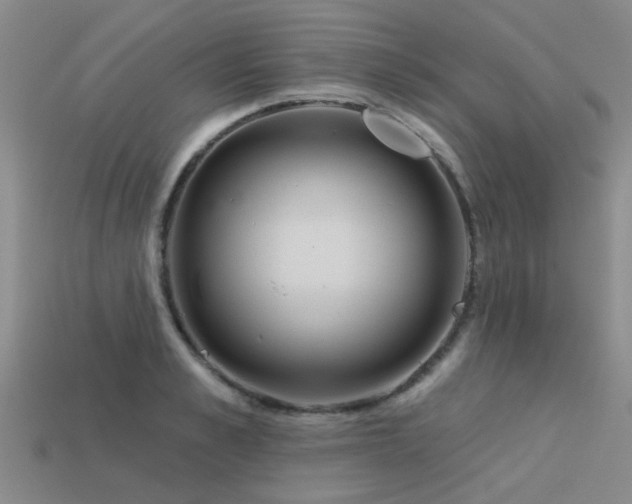 X0000113610989200909181415