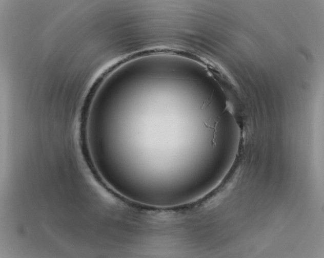 X0000113610991200909181415