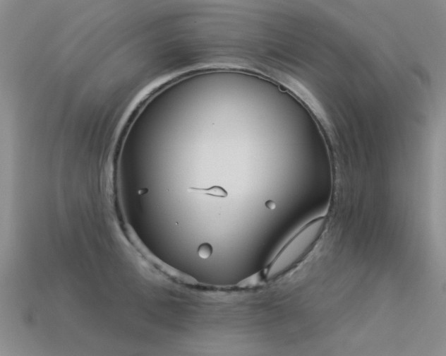 X0000113610996200909181415