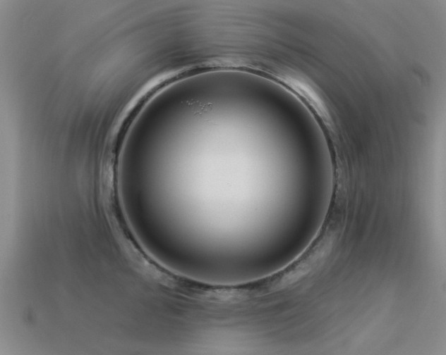 X0000113611000200909181415