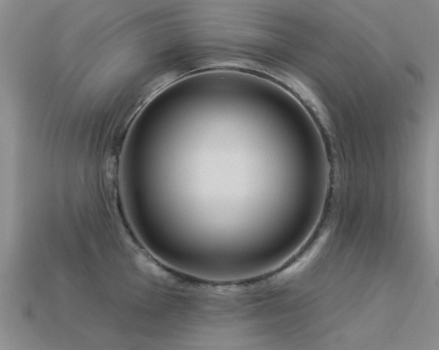 X0000113611001200909181415