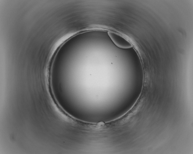 X0000113611003200909181415