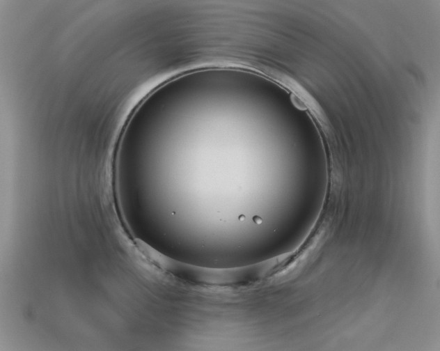 X0000113611004200909181415