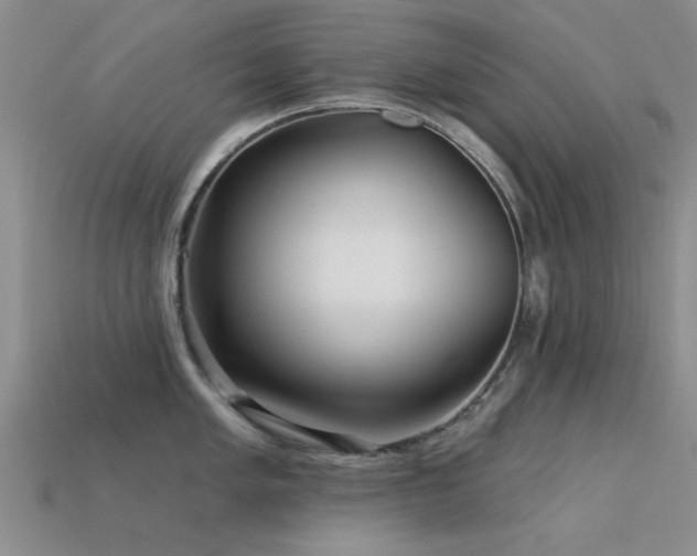 X0000113611005200909181415