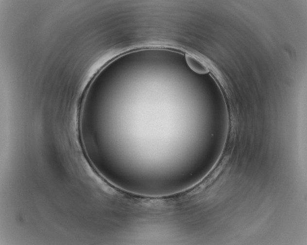 X0000113611006200909181415