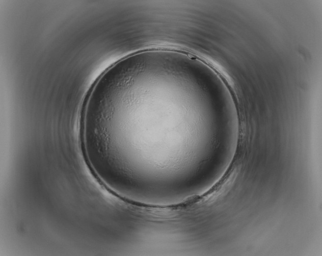 X0000113611007200909181415