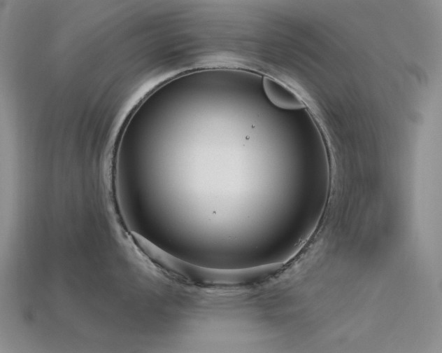 X0000113611008200909181415