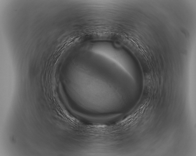 X0000113611009200909181414