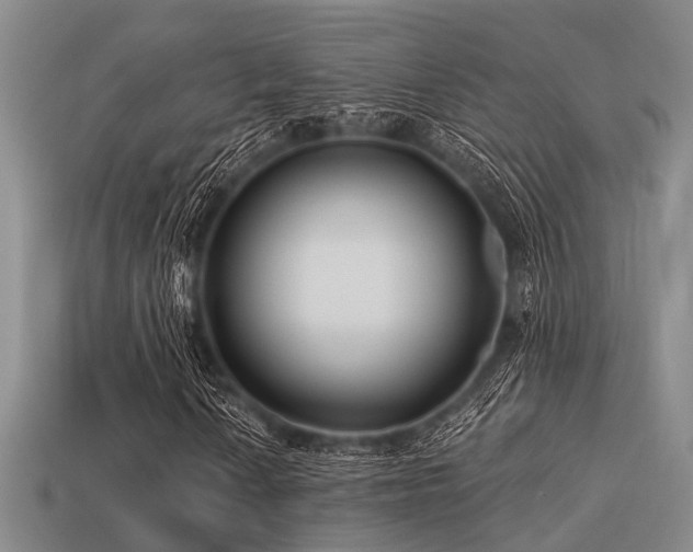 X0000113611010200909181414