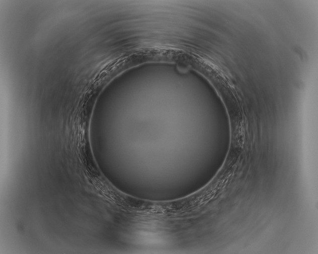 X0000113611013200909181414