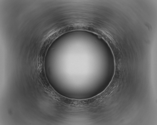 X0000113611015200909181414