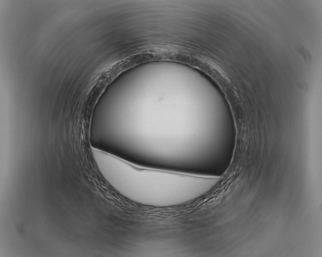 X0000113611016200909181414