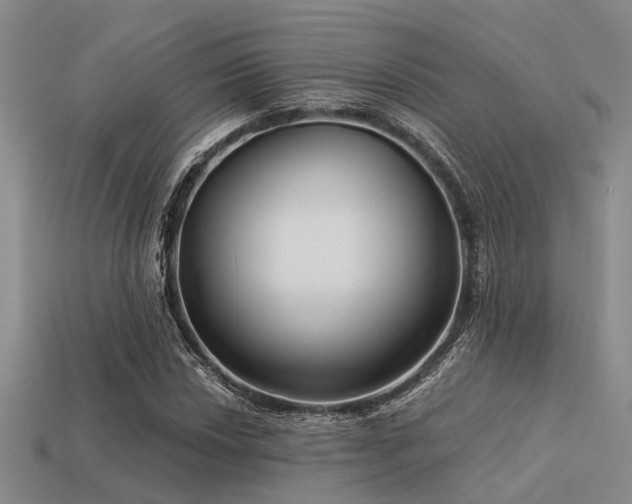 X0000113611018200909181414