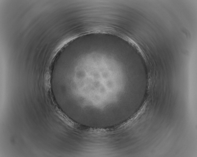 X0000113611019200909181414