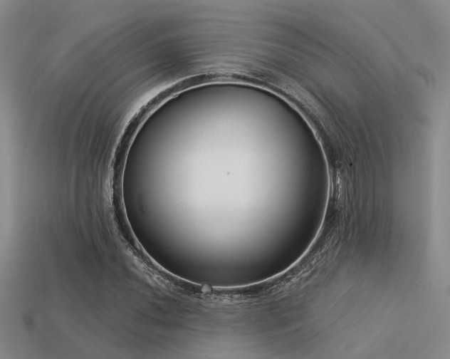 X0000113611020200909181414