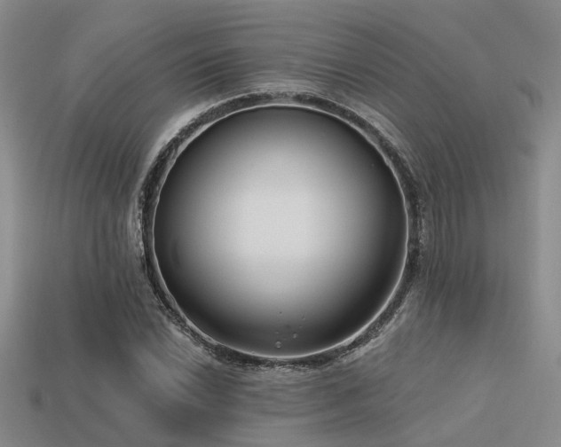 X0000113611022200909181415