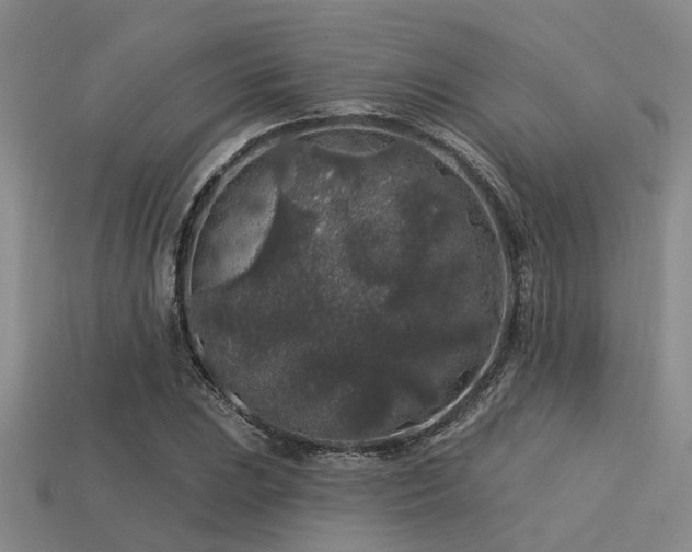 X0000113611023200909181415