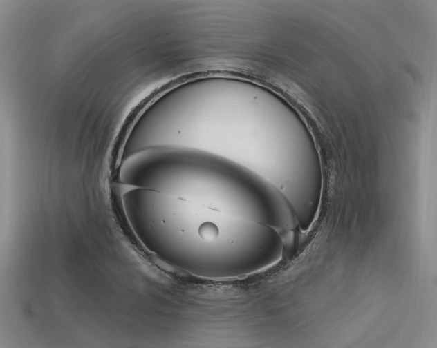 X0000113611024200909181415