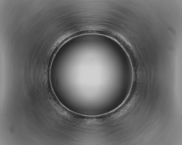 X0000113611025200909181415