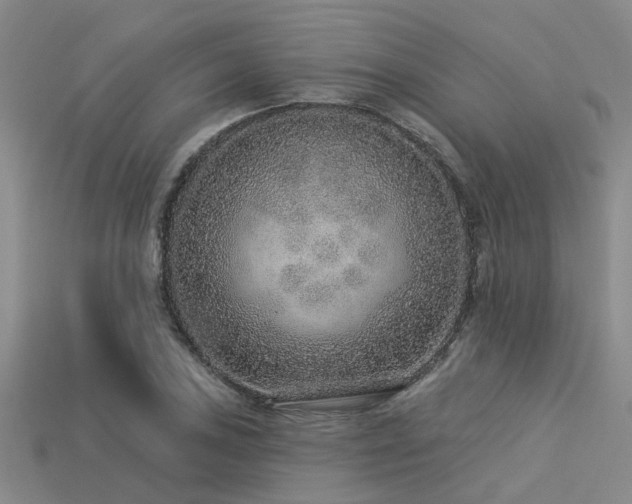 X0000113611027200909181415