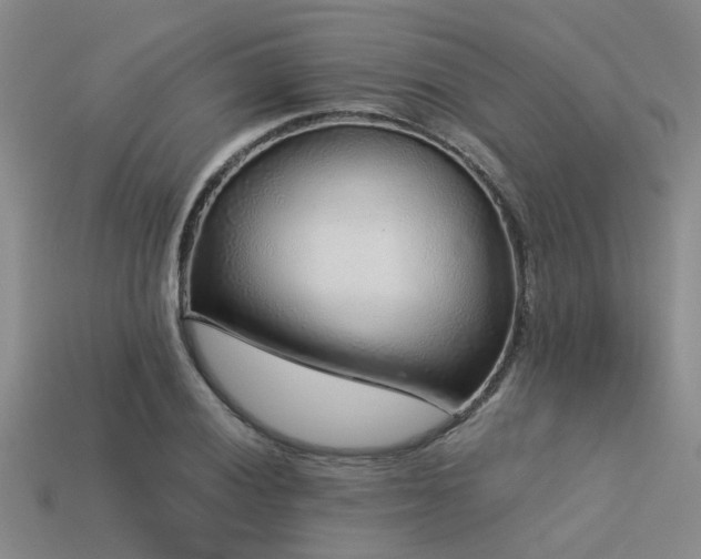 X0000113611028200909181415